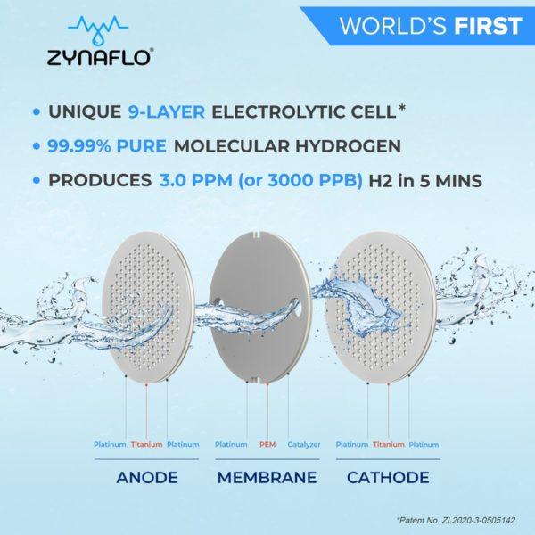 dupont spe pem membrane